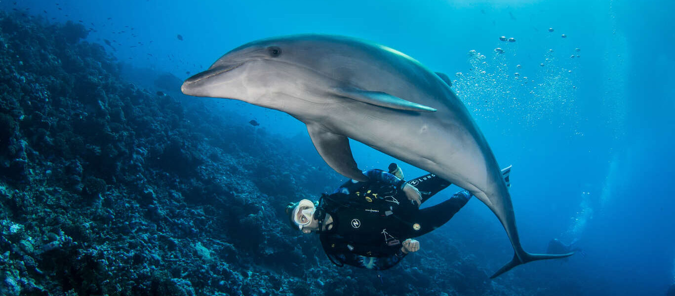 Séjour plongée en Polynésie