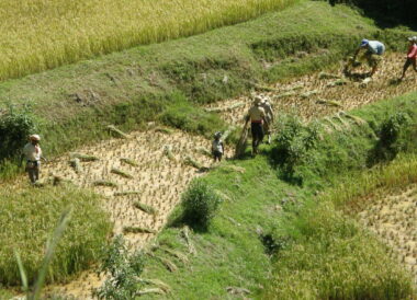 Balade sur la RN7