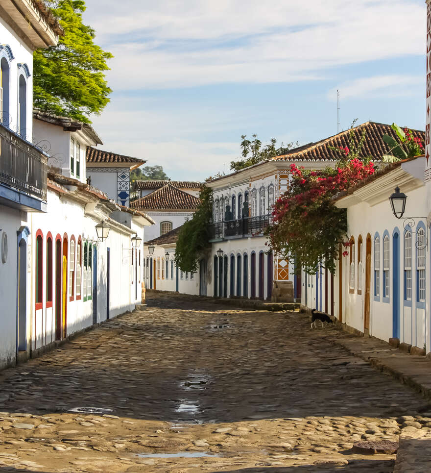 Le carnaval de Rio en voyage organisé