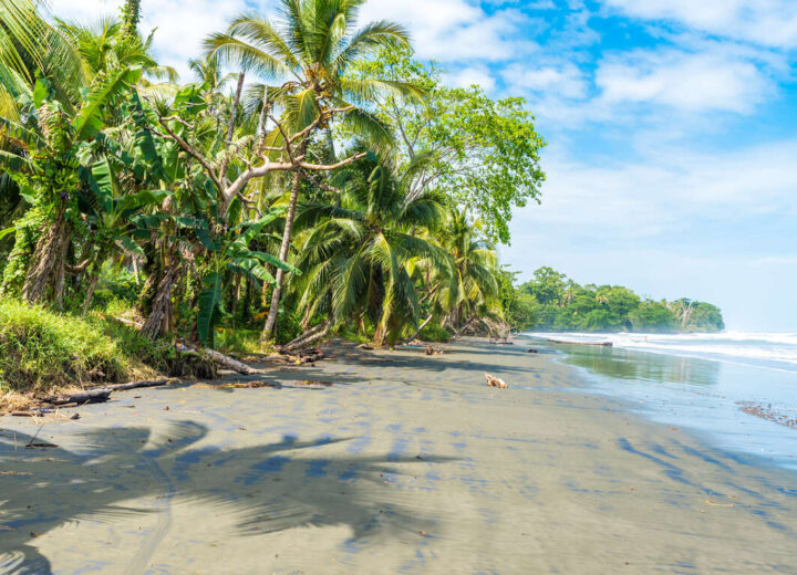Des Caraïbes au Pacifique