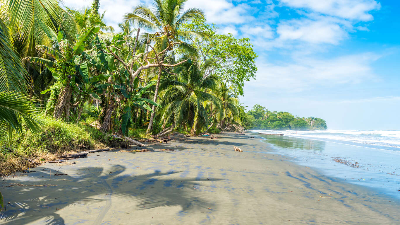 Des Caraïbes au Pacifique