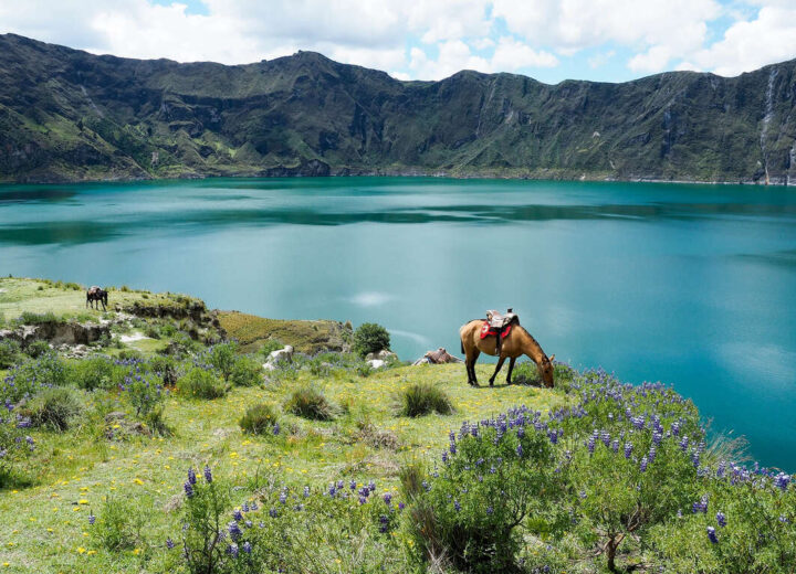 Bol d’air en Equateur : des Andes à l’Amazonie