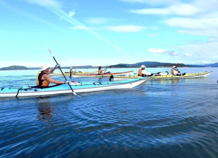 Croisière à Desolation Sound