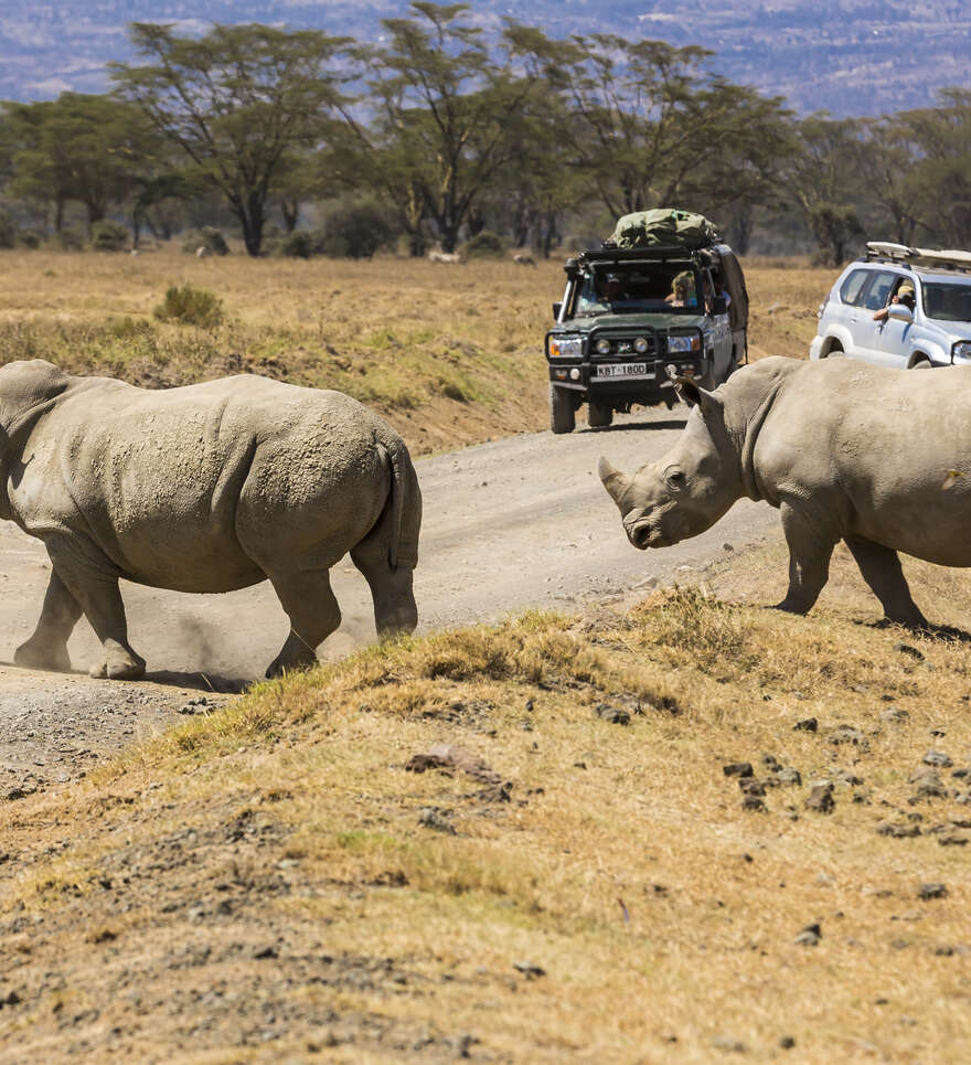 Partez pour un safari au lac Nakuru