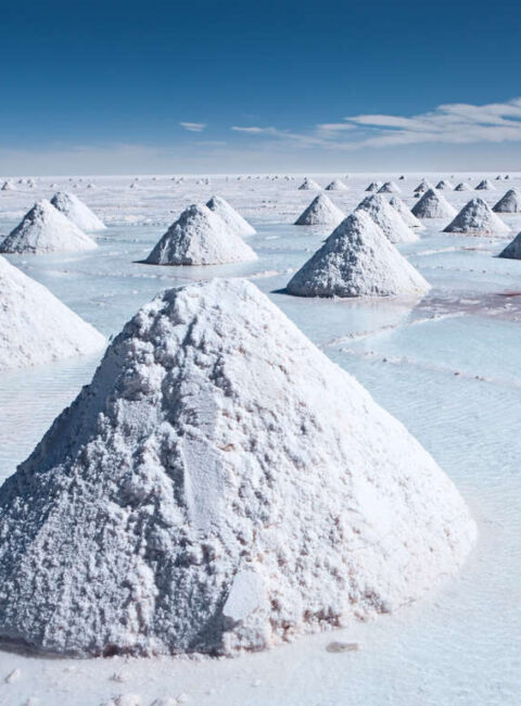 Chili et Bolivie : déserts sable et sel