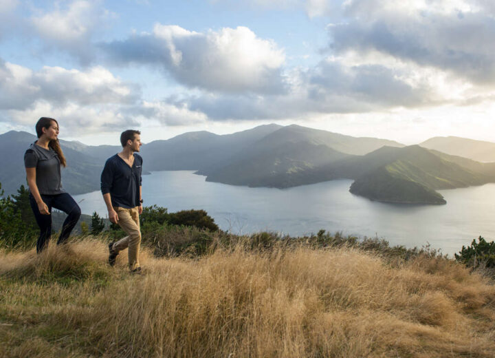 Circuit en petit groupe en Nouvelle-Zélande