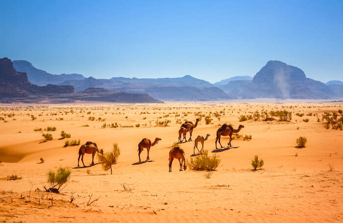 Pourquoi un voyage en Orient avec Cercle des Voyages ?