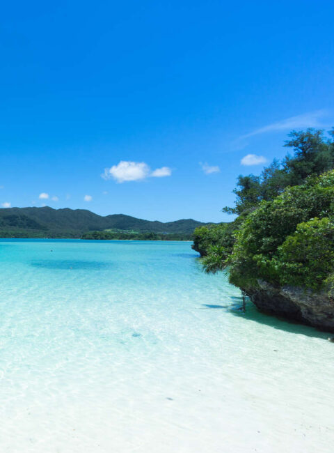 Voyage vers l'Archipel d'Okinawa