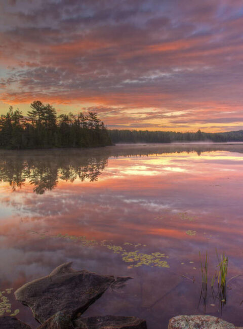 Grands Lacs : l'Amérique nature en liberté
