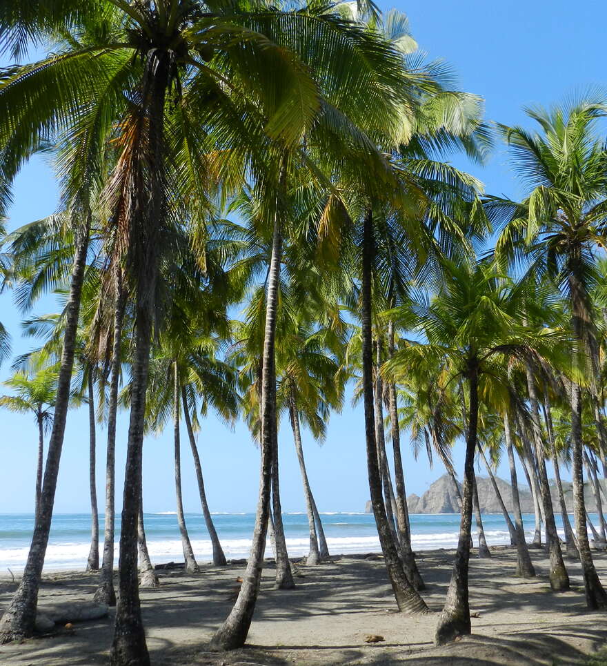 Les hébergement de la côte Pacifique du Costa Rica