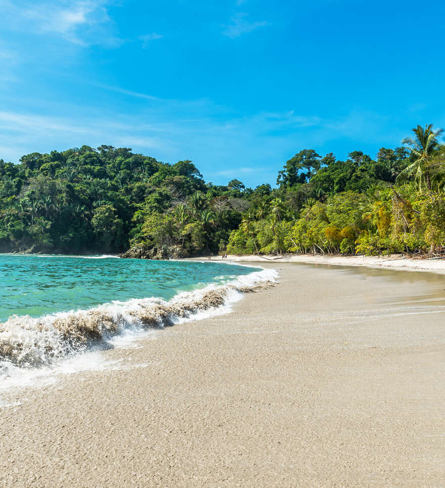 Explorez la jungle du Costa Rica sur la côte Pacifique