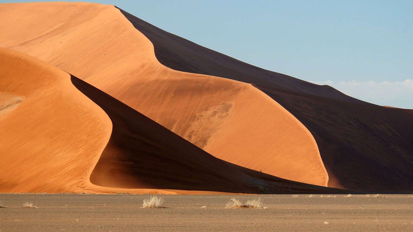 Safari en Namibie
