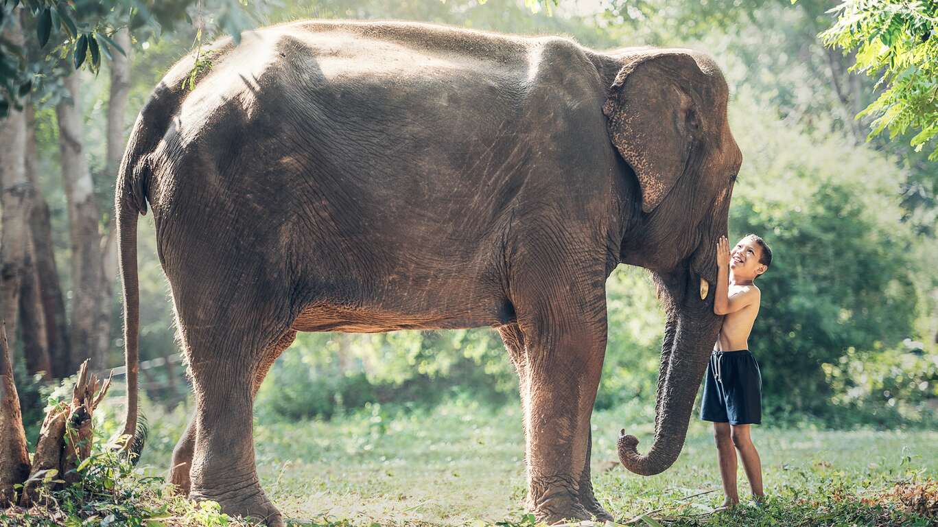 La Thaïlande avec votre petite tribu