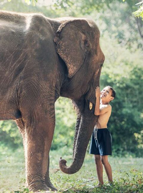 La Thaïlande avec votre petite tribu