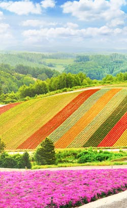 Géographie