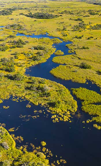 Guide Voyage Botswana