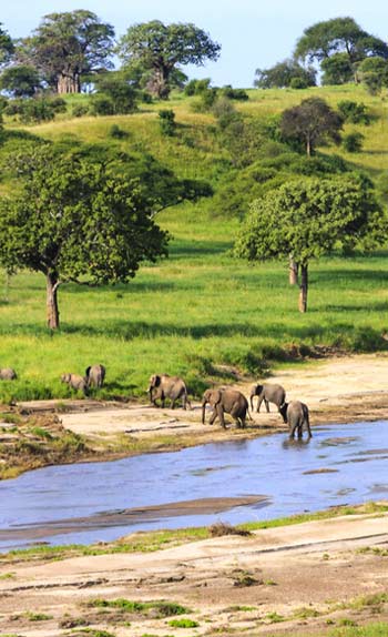 Guide Voyage Tanzanie