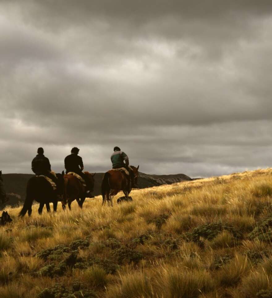 Exploration culturelle et héritage historique à Bariloche