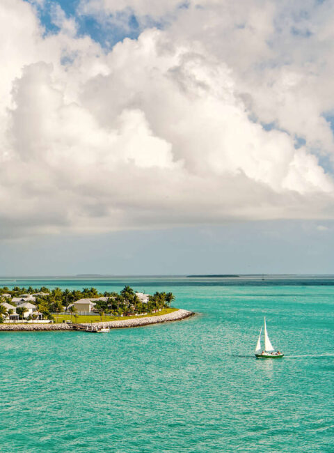 Circuit en Floride : Faune Sauvage, Océan et Grandes Villes