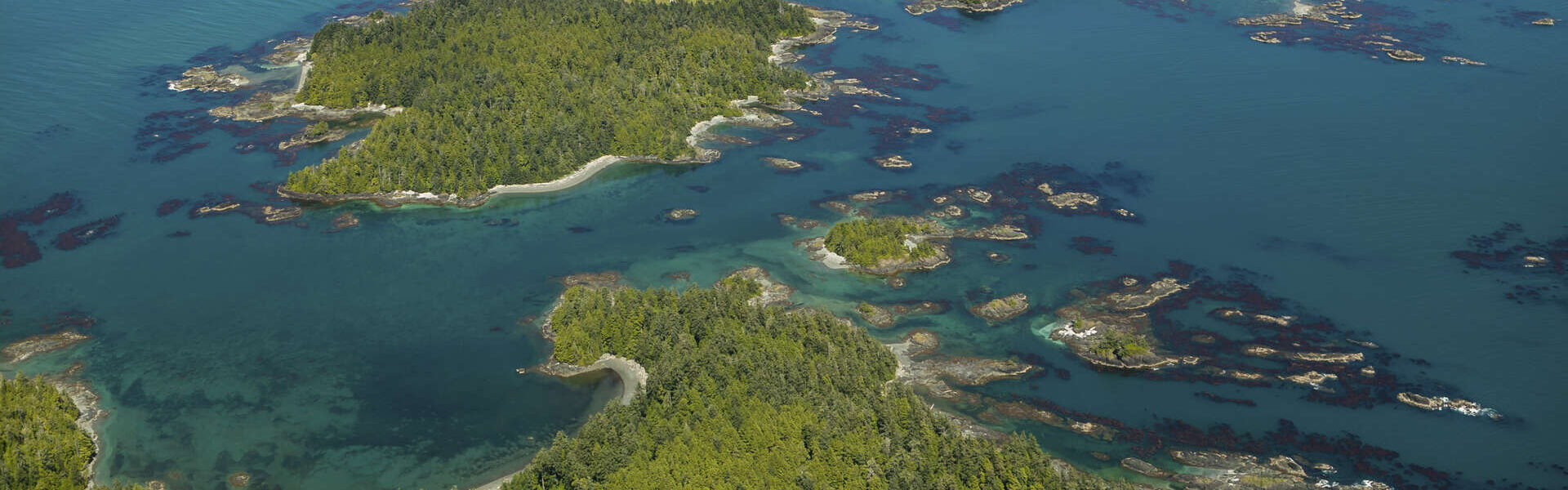 Découverte de l'Ile de Vancouver