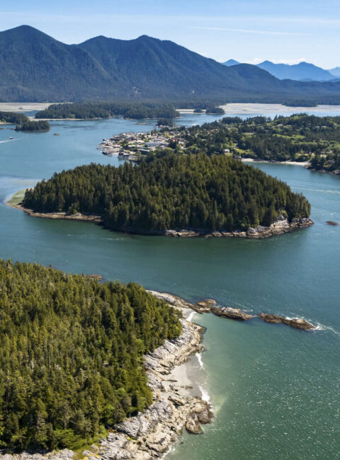 Nature sauvage de l'île de Vancouver