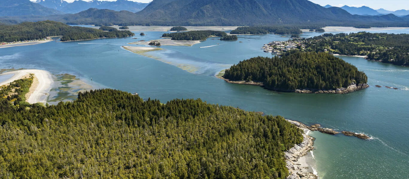 Nature sauvage de l’île de Vancouver