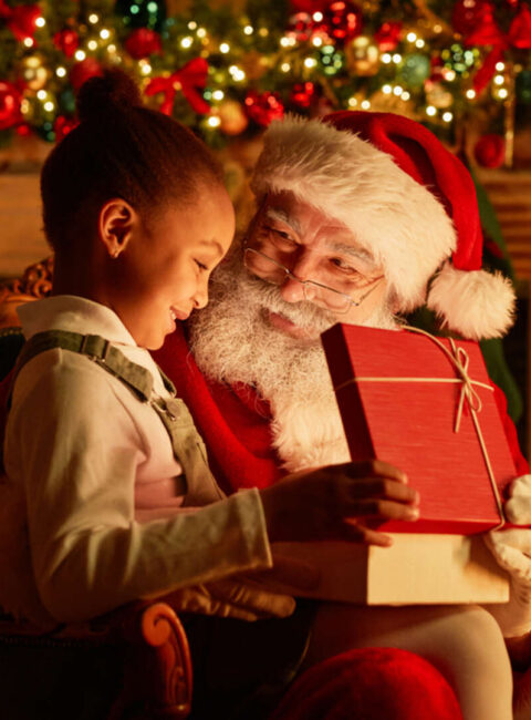 Rencontre avec le Père-Noël à Rovaniemi