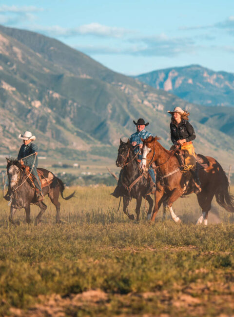 Insolite Yellowstone et Grand Teton