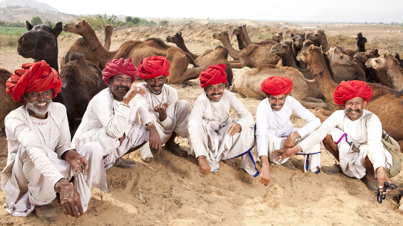Circuit exclusif en petit groupe : couleurs du Rajasthan pendant la foire de Pushkar