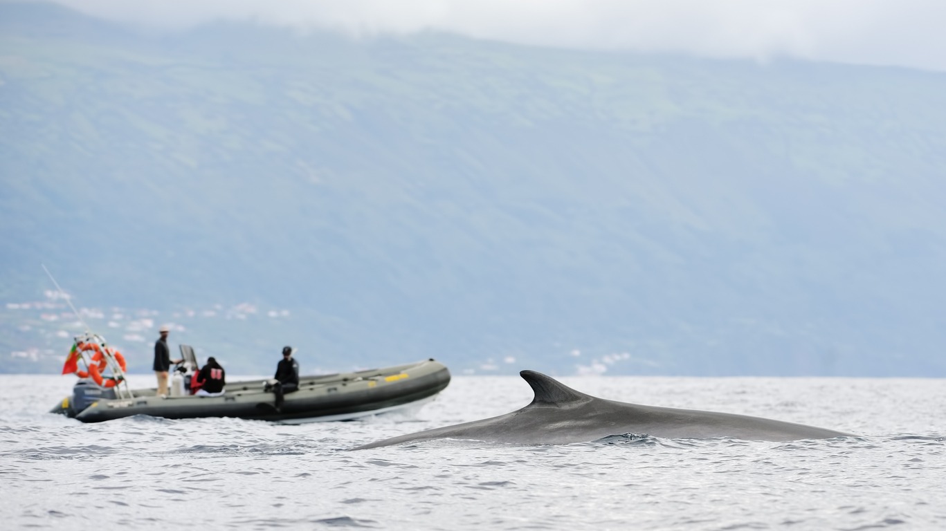 Pourquoi réserver un voyage aux Açores avec Cercle des Voyages ? 