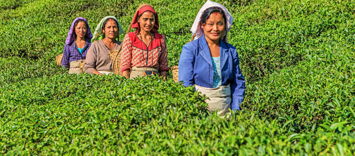 Voyage de l'Orissa jusqu'à Darjeeling