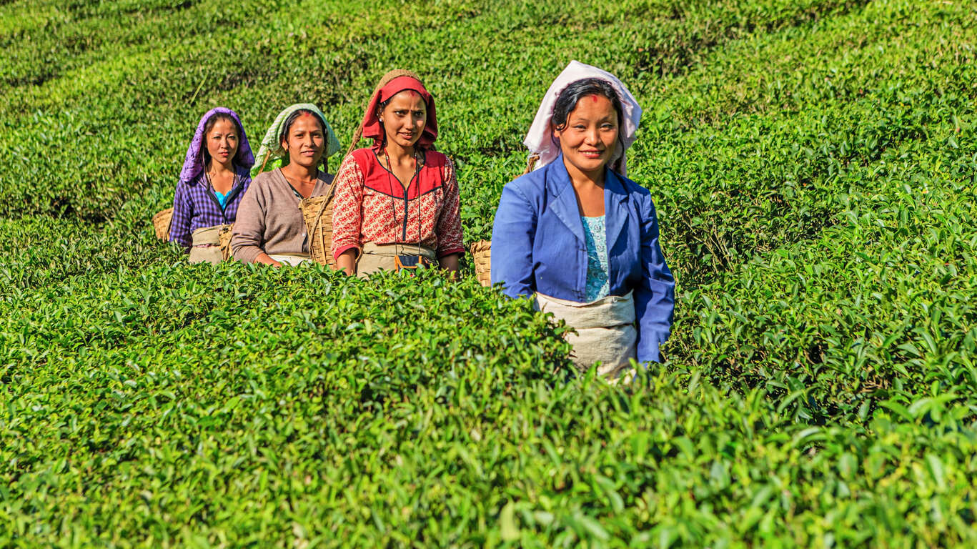 Voyage de l'Orissa jusqu'à Darjeeling