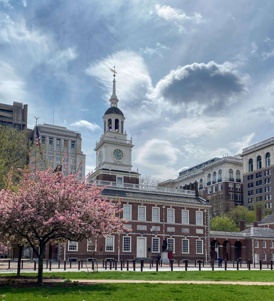 Expérience unique : excursions et visites guidées