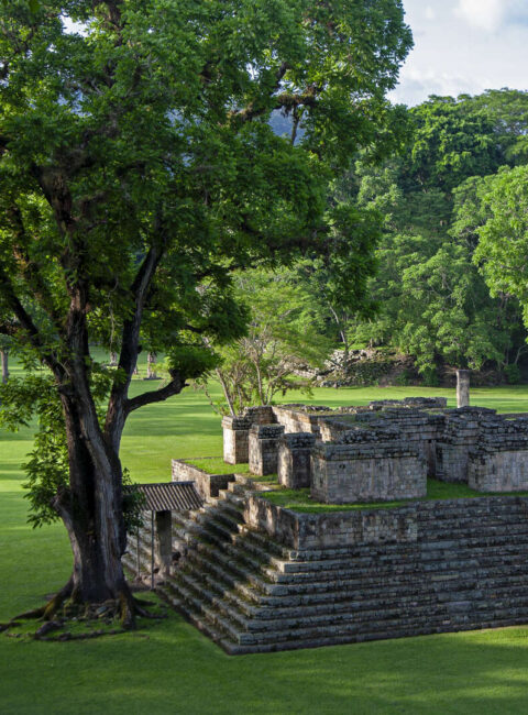 Tikal et Copan : joyaux du Guatemala et Honduras