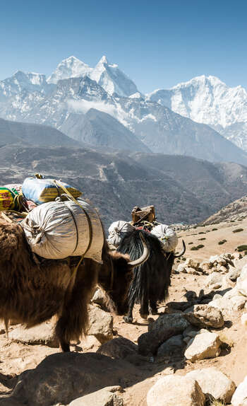 Entre le Mont Everest et les réserves de l’Helambu