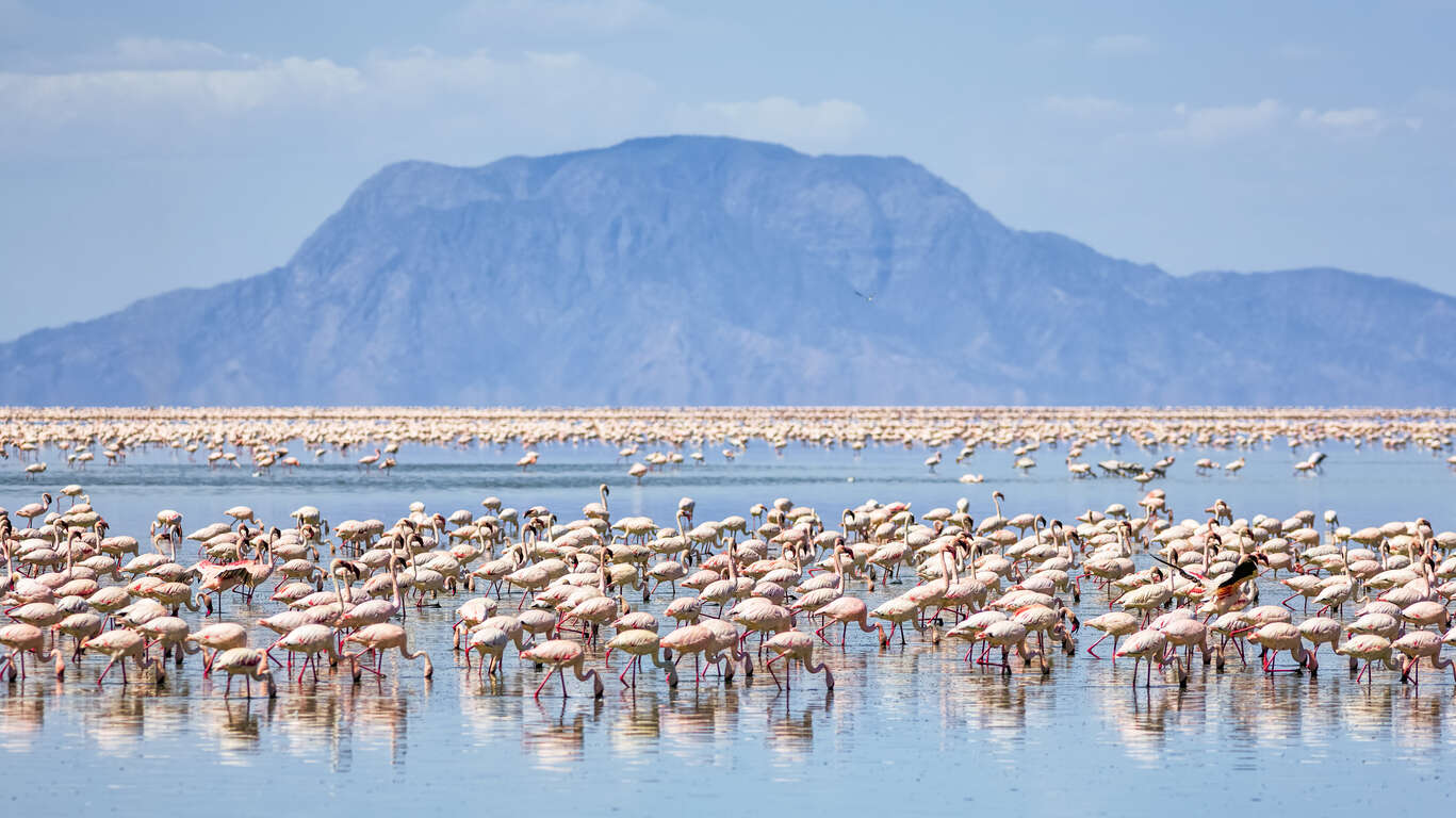 Circuit privé dans la région des grands lacs de Tanzanie