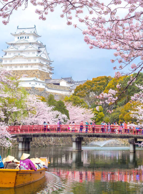 Japon au printemps : au pays des cerisiers