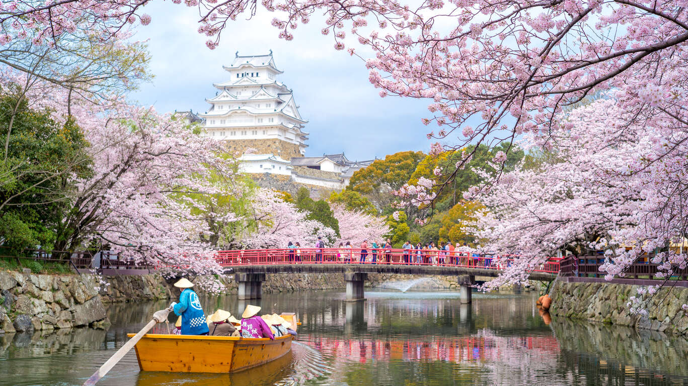 Japon en avril : au pays des cerisiers