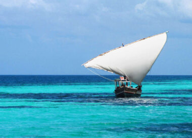Safari privé en Tanzanie et découverte de Zanzibar