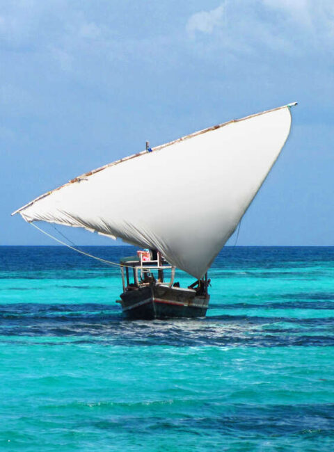 Safari privé en Tanzanie et découverte de Zanzibar