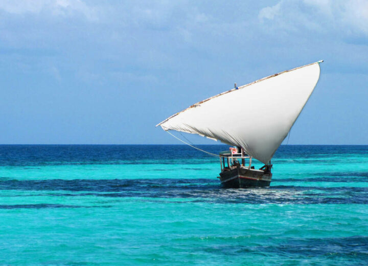 Safari privé en Tanzanie et découverte de Zanzibar