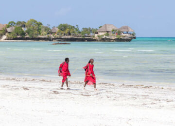 Circuit privatif en Tanzanie : du Serengeti à Zanzibar
