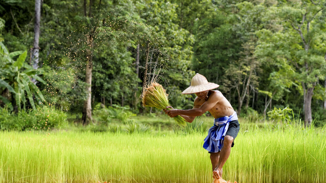 Secrets du Nord du Cambodge