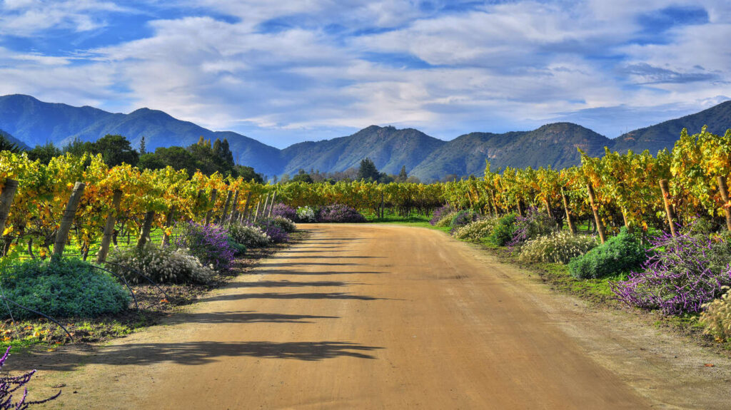 Circuit privé Chili : Atacama et Ile de Pâques 