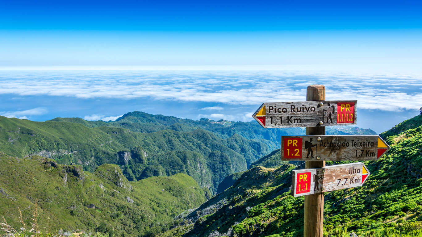 Chemin vers le Pico Ruivo, Madère, Portugal