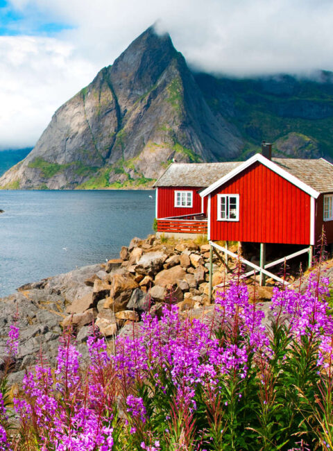 Expérience nordique : fjords, glacier, Lofoten et Cap Nord
