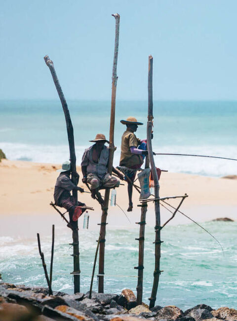 Les incontournables et farniente au Sri Lanka