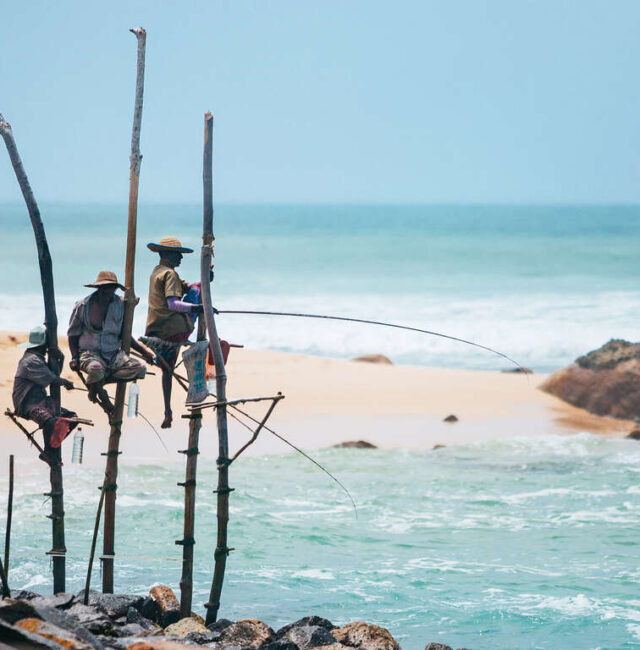 Voyage privé 11 jours au Sri Lanka