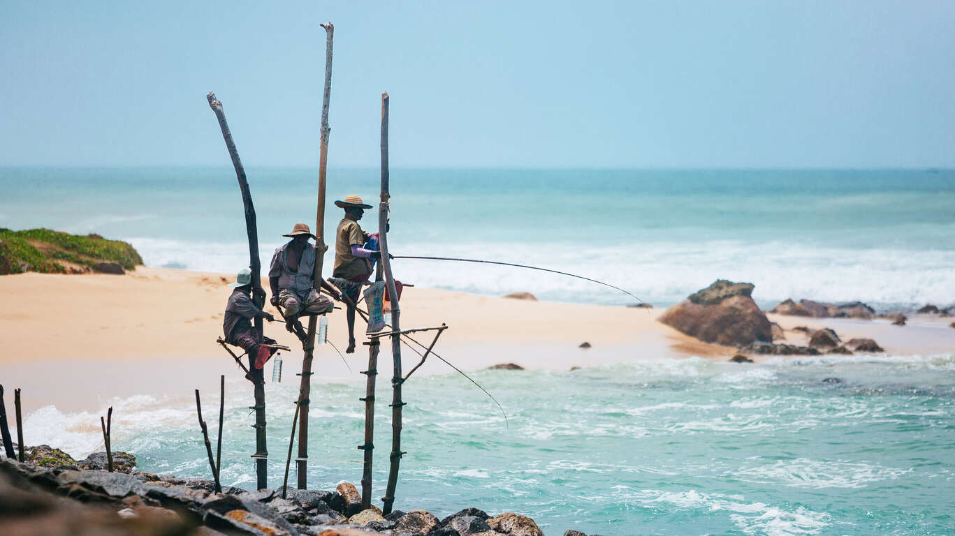 Les incontournables et farniente au Sri Lanka : immersion au coeur du Triangle Culturel et plage paradisiaque
