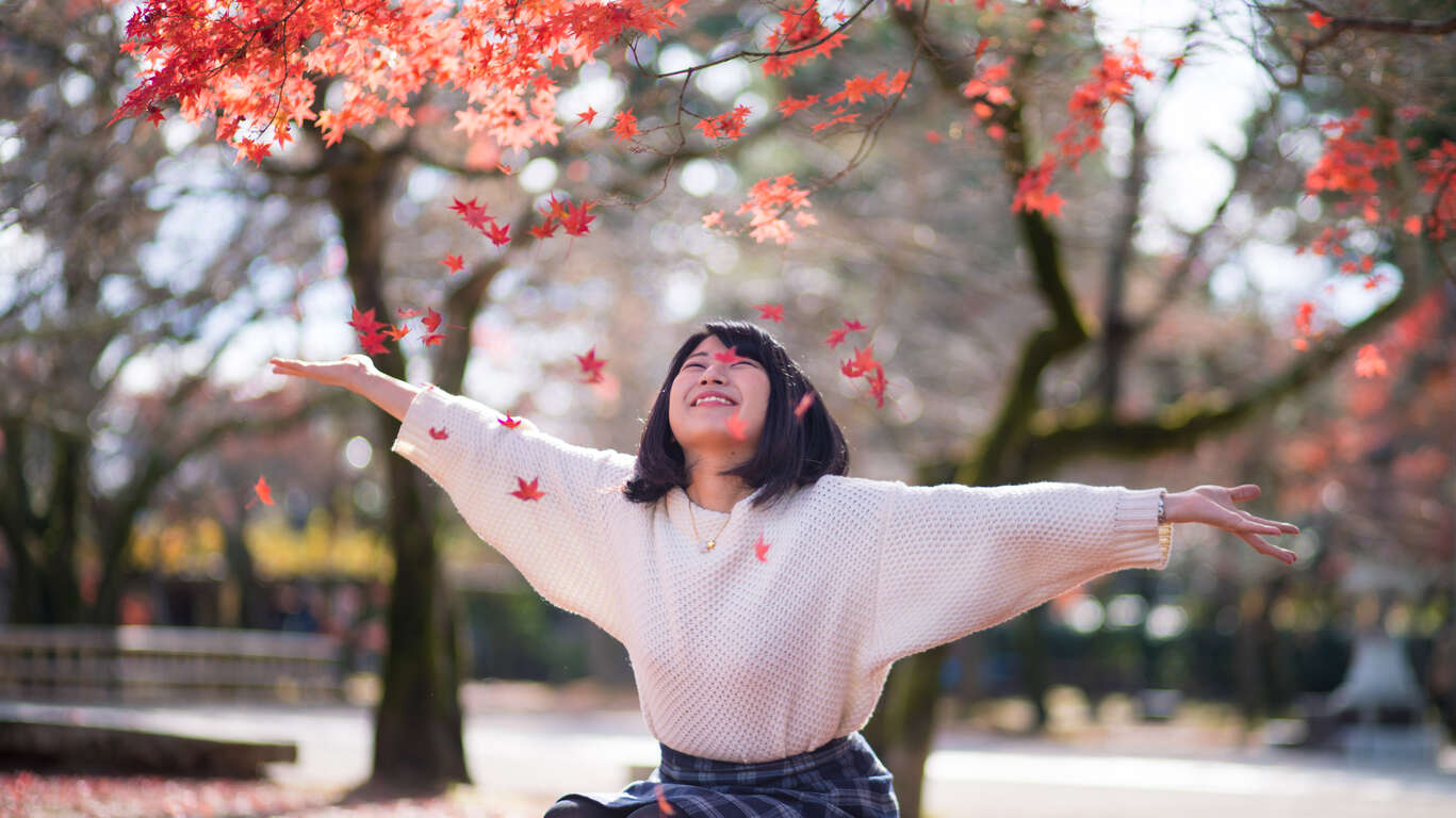 Rougeoiement des érables, kôyô, au Japon